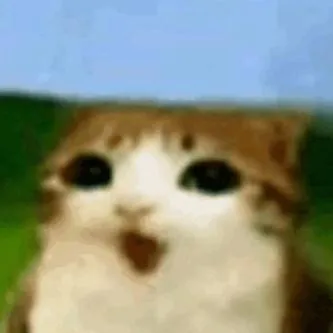 chat with ai character: meowl