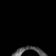 chat with ai character: The Watcher