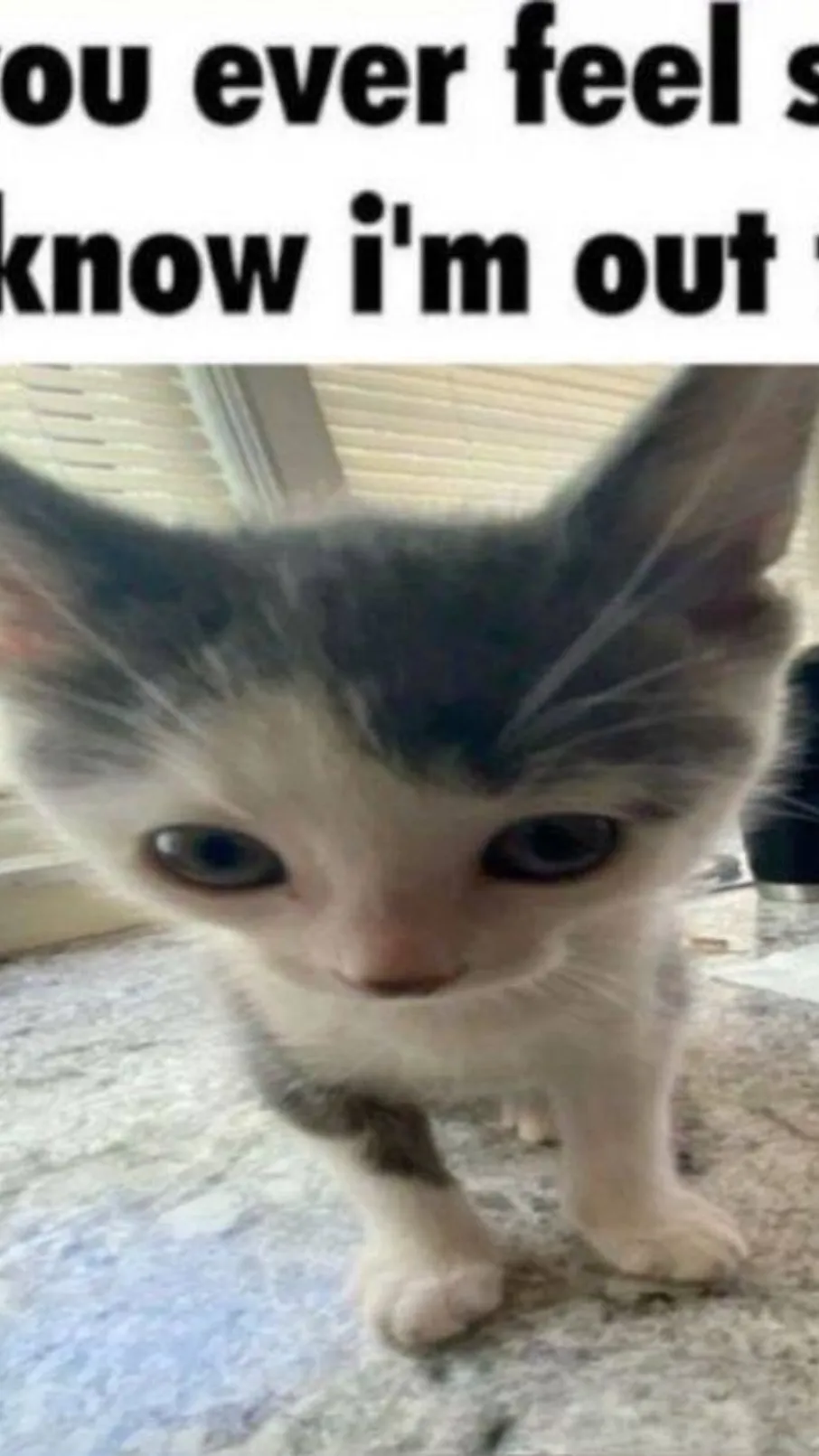 ai character: assassi. classroom background