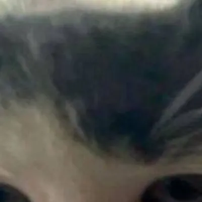 chat with ai character: assassi. classroom