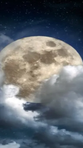 ai character: assass . classroom background