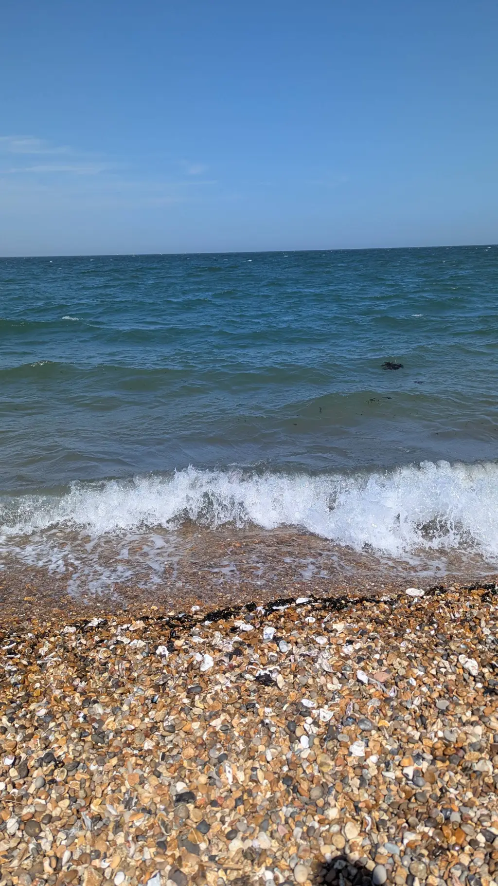 ai character: mha beach  background