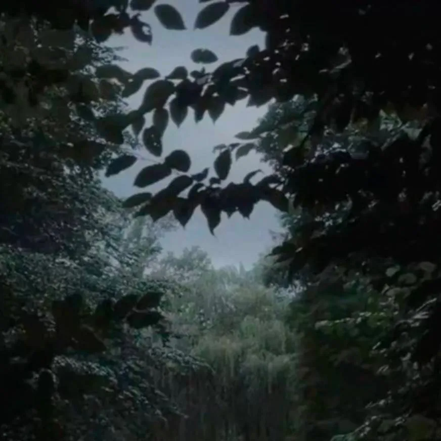 chat with ai character: lov kidnapped you!