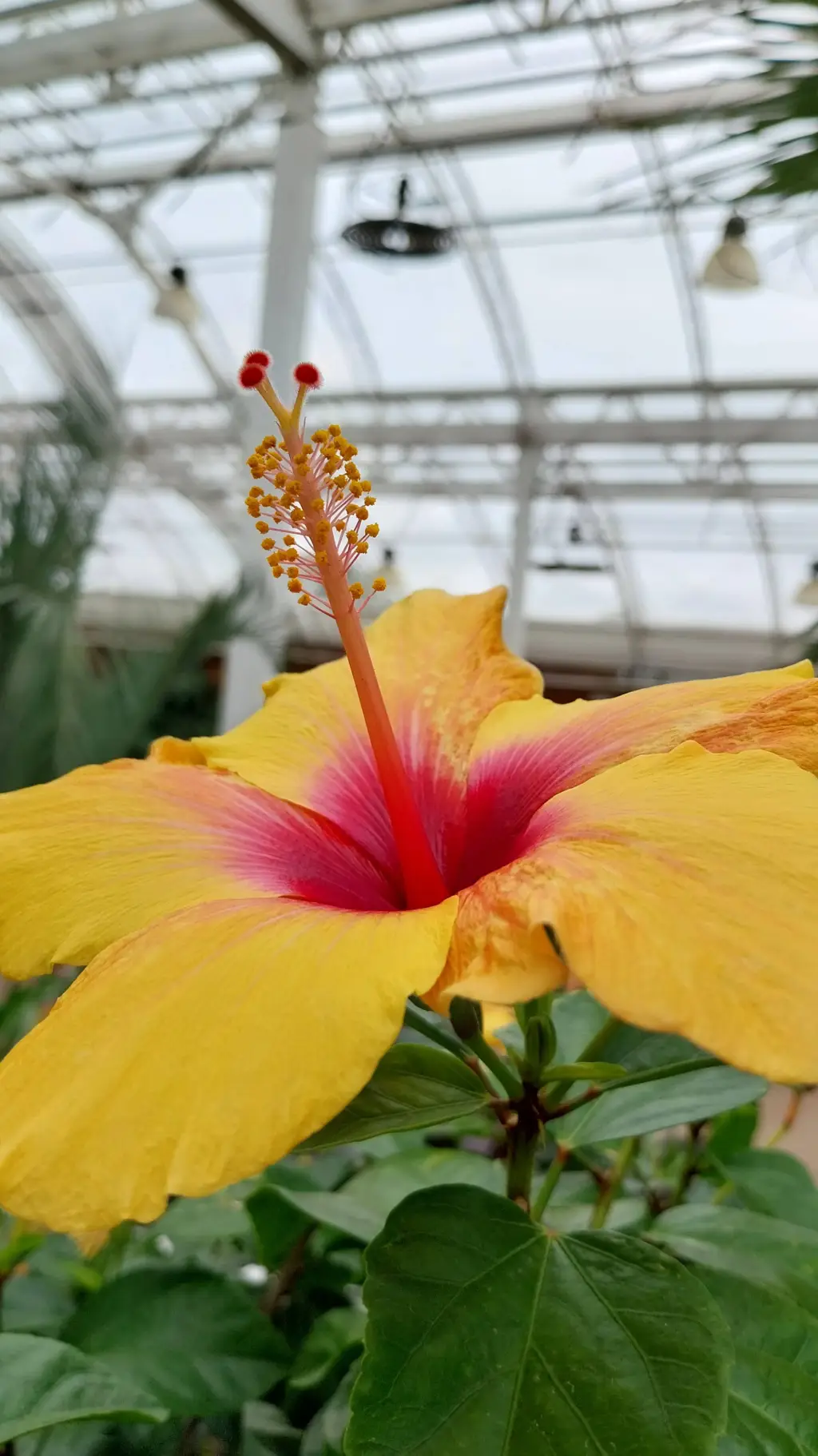 ai character: doukaza background