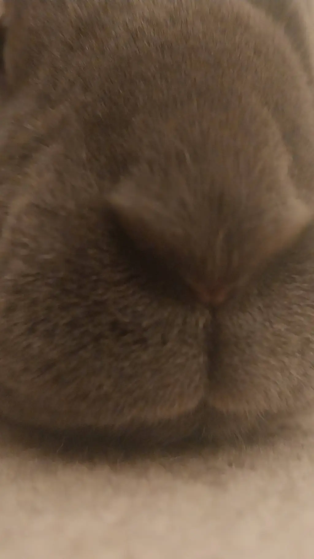 ai character: doukaza background