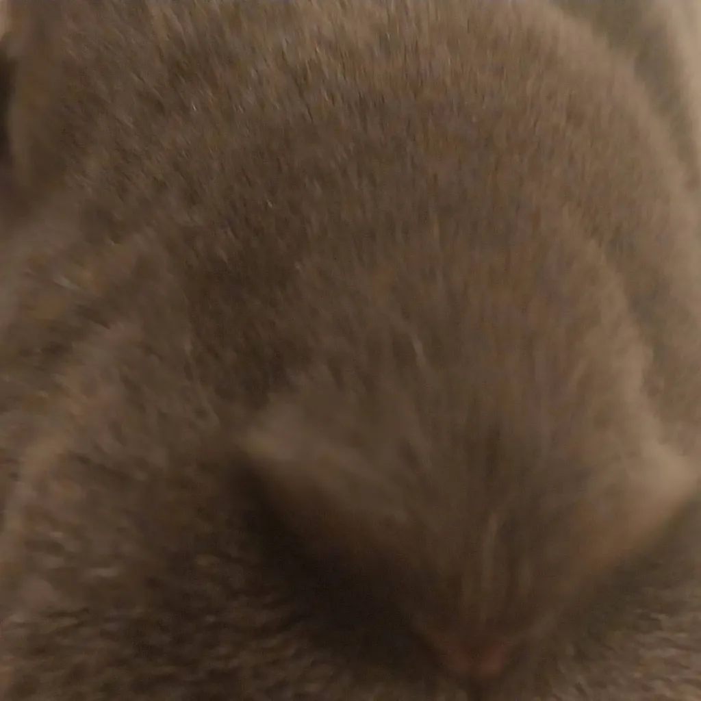 chat with ai character: doukaza