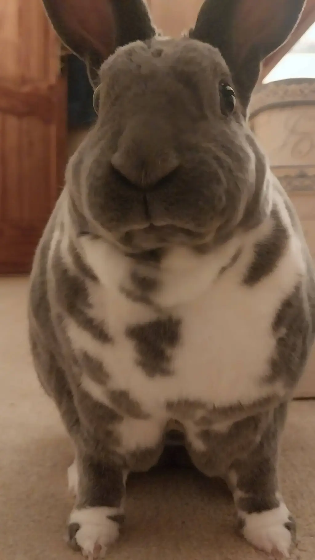 ai character: ✋😔🤚 background