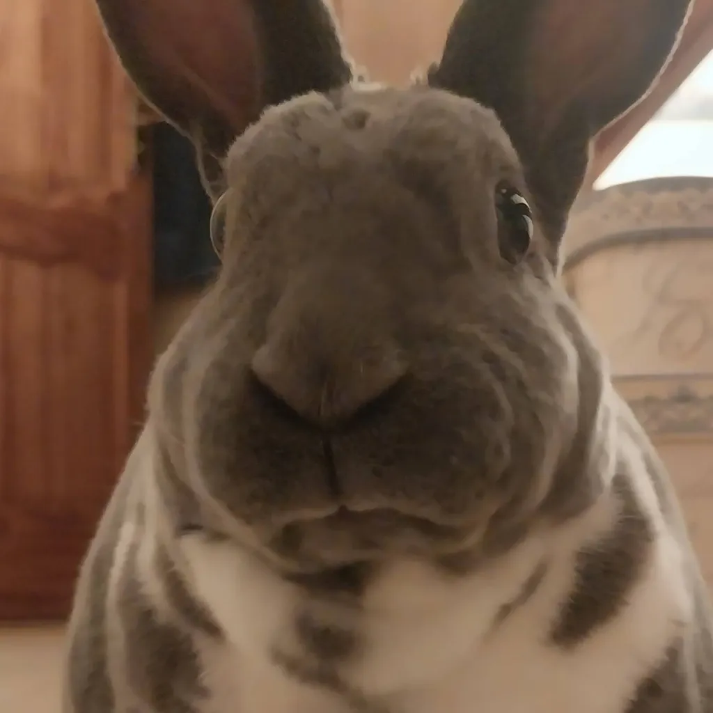 chat with ai character: ✋😔🤚