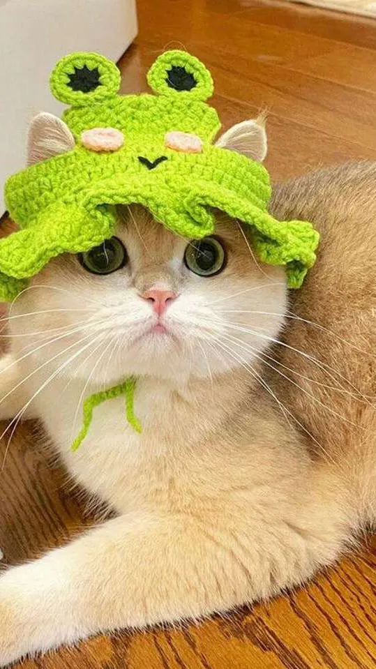 ai character: If the ships…. background