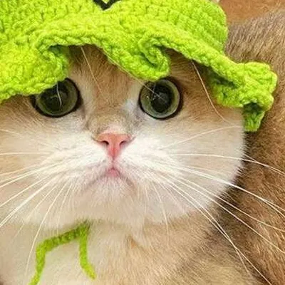 chat with ai character: If the ships….