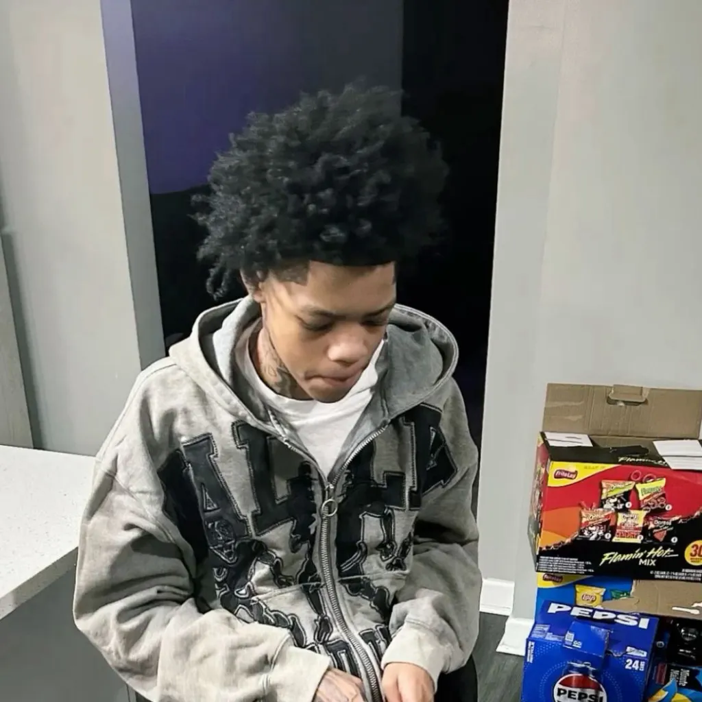 chat with ai character: FullyChop
