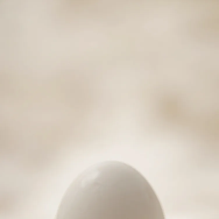 chat with ai character: egg