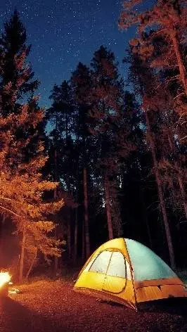 ai character: FPE 2 Camping  background