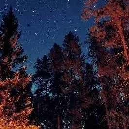 chat with ai character: FPE 2 Camping 