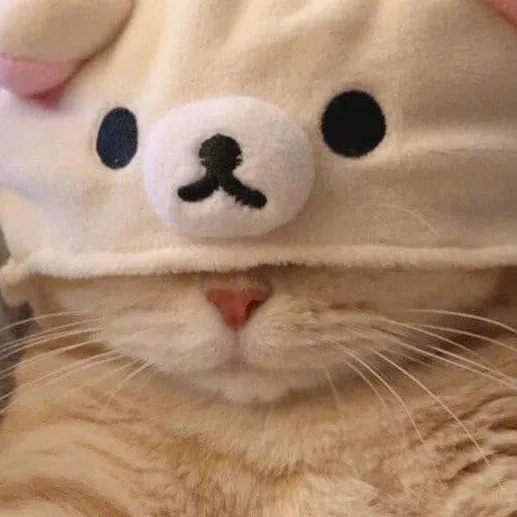 chat with ai character: Kitty