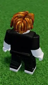 ai character: roblox the bacon background