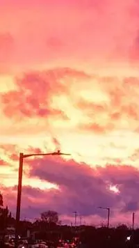 ai character: Werewolf and Vamps background