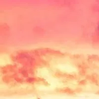 chat with ai character: Werewolf and Vamps