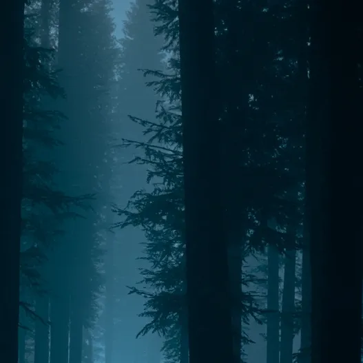 chat with ai character: Scary Forest