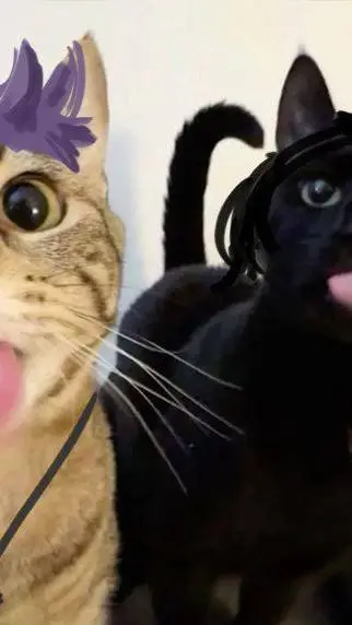 ai character: cat thanos background