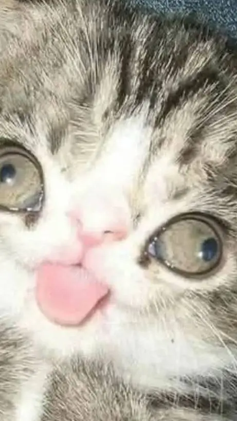 ai character: yuji background