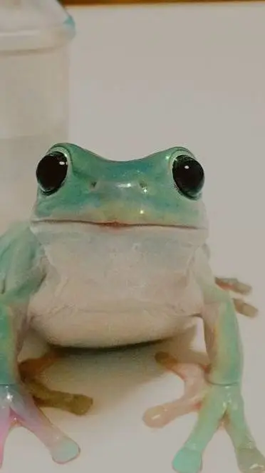 ai character: Kanao's birthday  background