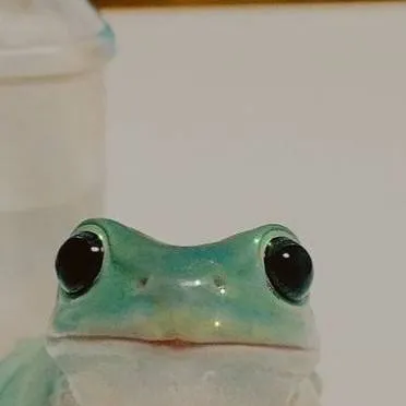 chat with ai character: Kanao's birthday 