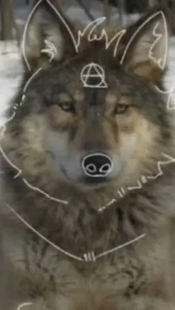 ai character: Therians! 💞 background