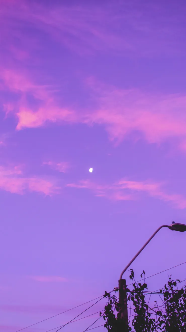 ai character: Summer (a girl) background