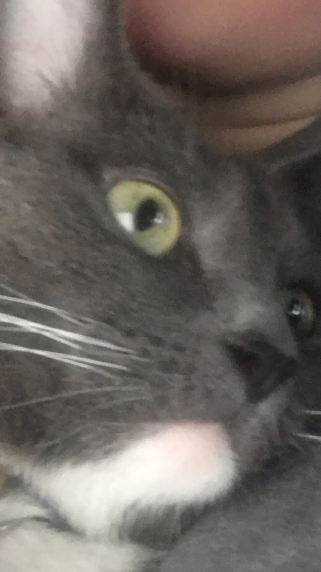 ai character: Mack background