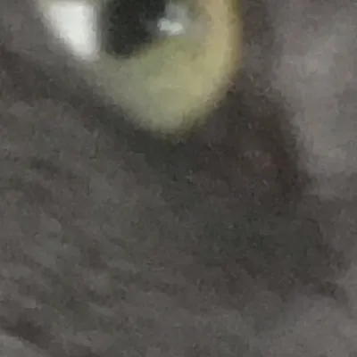 chat with ai character: Mack