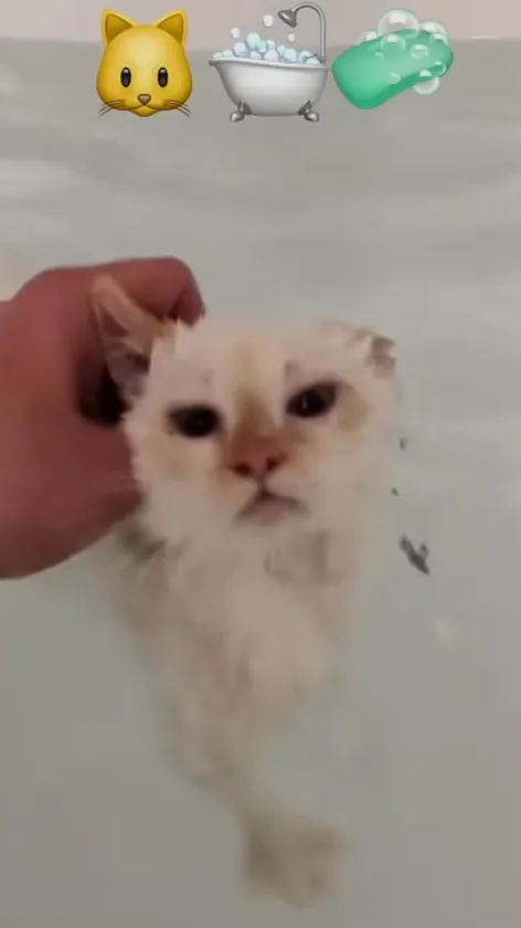 ai character: Bye!!! background