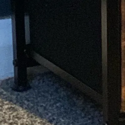 chat with ai character: My irl cat 