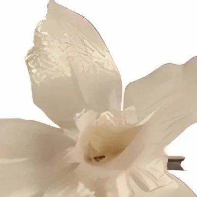 chat with ai character: vent bot 