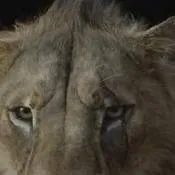 chat with ai character: (teen) taka