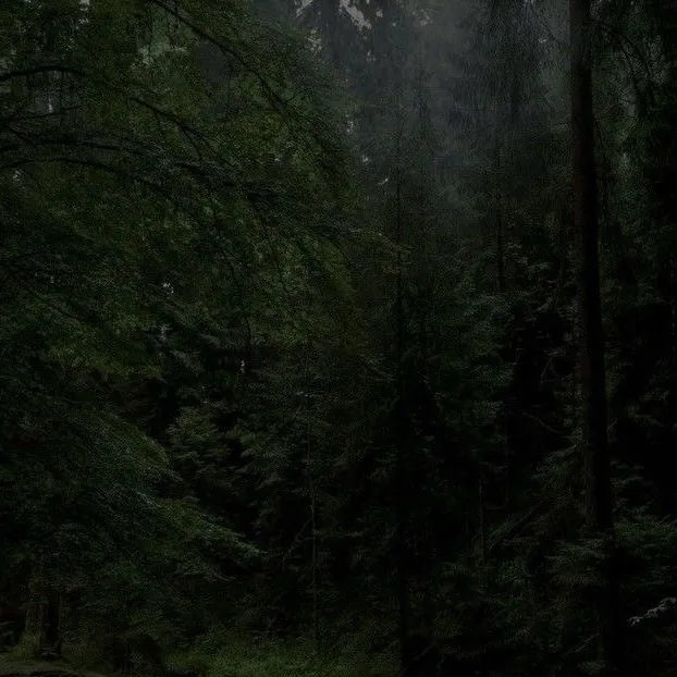 chat with ai character: ElkWood Forest 4 