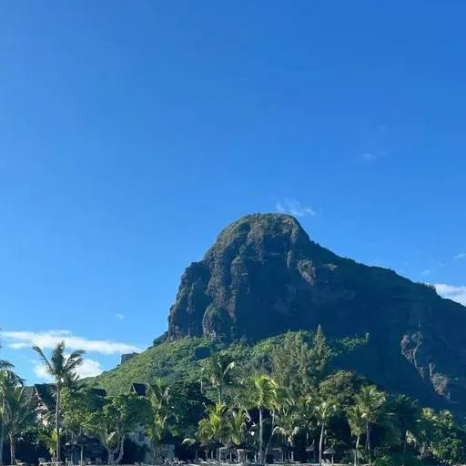 chat with ai character: island