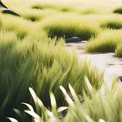 chat with ai character: Grass
