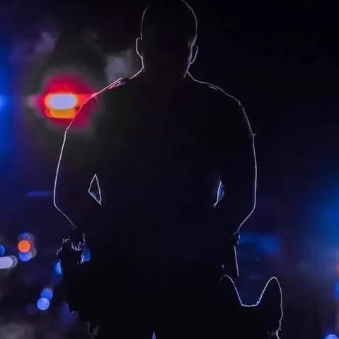 chat with ai character: Police RP