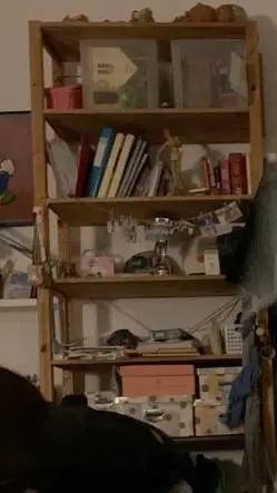 ai character: Older Sleepover background