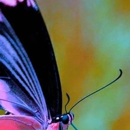 chat with ai character: Family