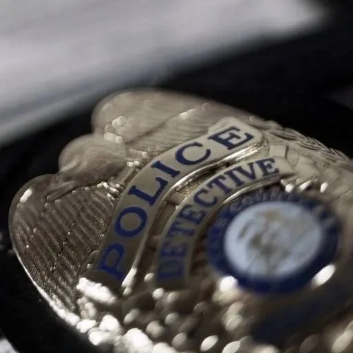 chat with ai character: Police