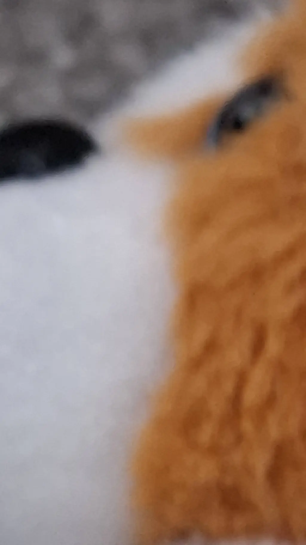 ai character: my puppy  background