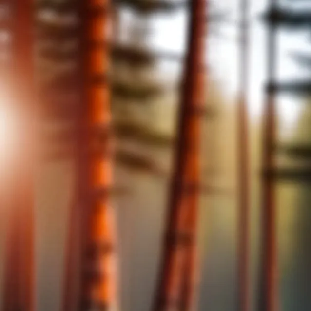 chat with ai character: The enchanted lake