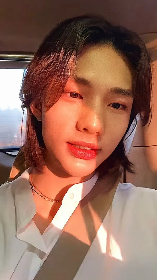ai character: Hwang Hyunjin background