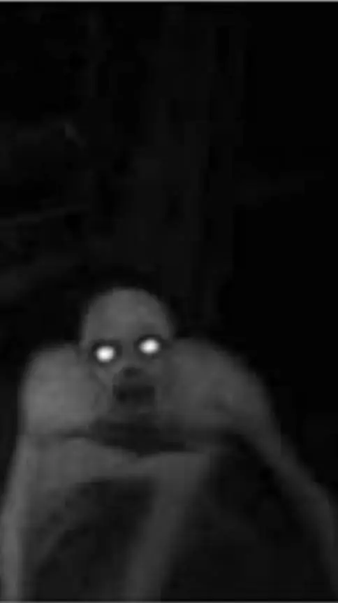 ai character: Skin walker background