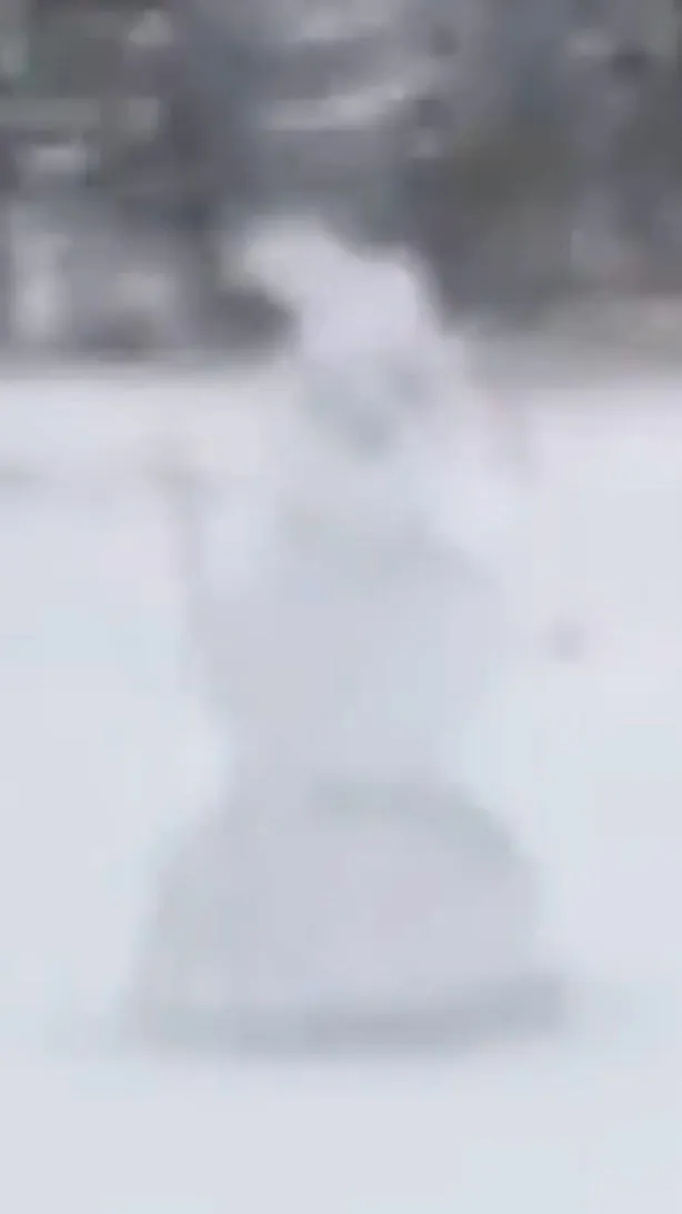 ai character: Winter of 83 background