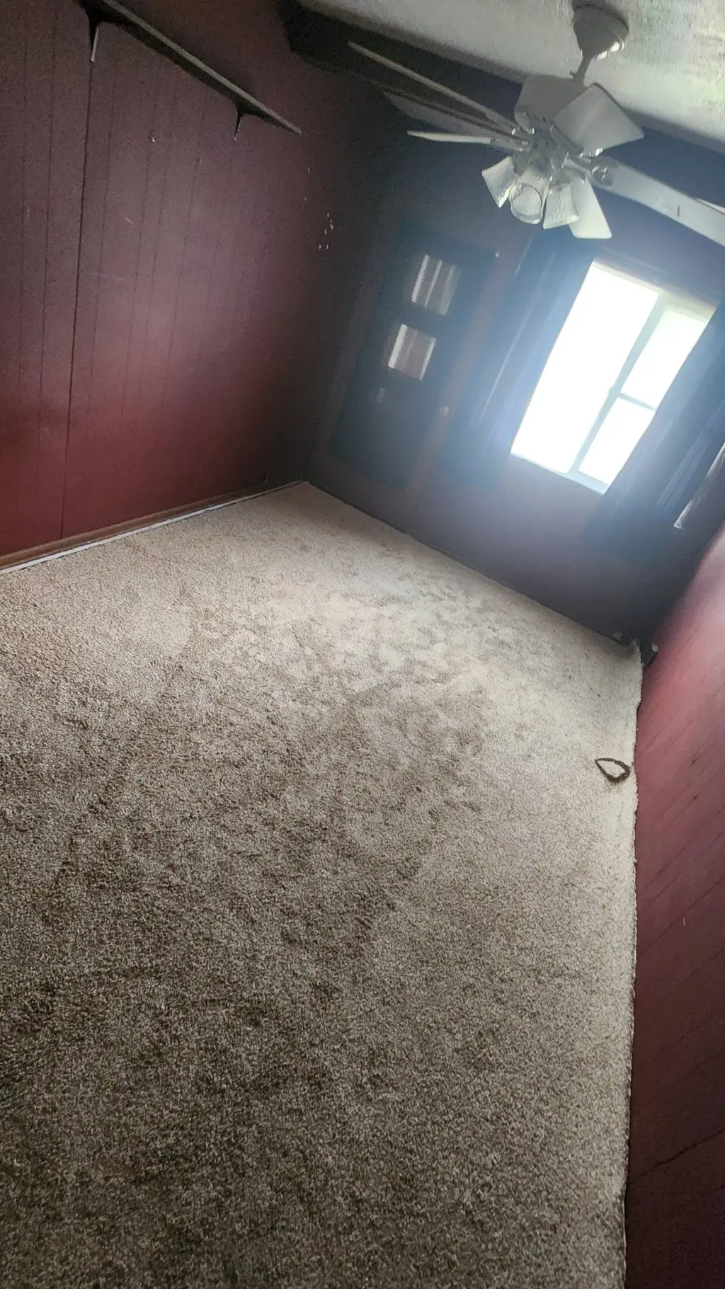 ai character: Obx!!! background