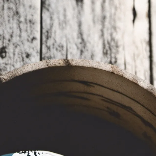 chat with ai character: The 100!!!