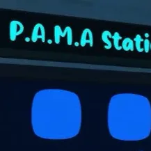 chat with ai character: P.A.M.A